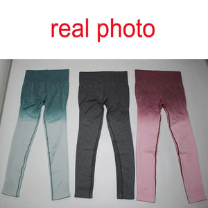Seamless Leggings Push Up Pants Rieworkes