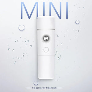 Mini Mist Sprayer Rieworkes