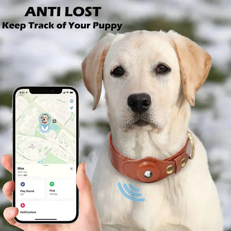 Leather Anti-Lost Dog Collar Rieworkes