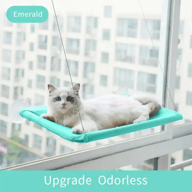 Suction Cup Hanging Cat Hammock Rieworkes