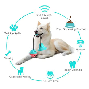 Silicone Suction Cup Dog Toy Rieworkes