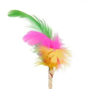 Cat Scratching Ball Toy Rieworkes