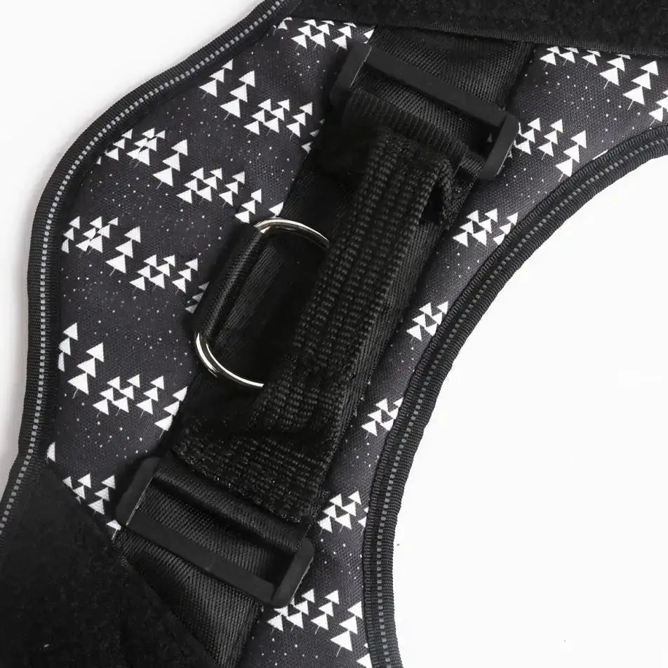 Safety Dog Harness Rieworkes