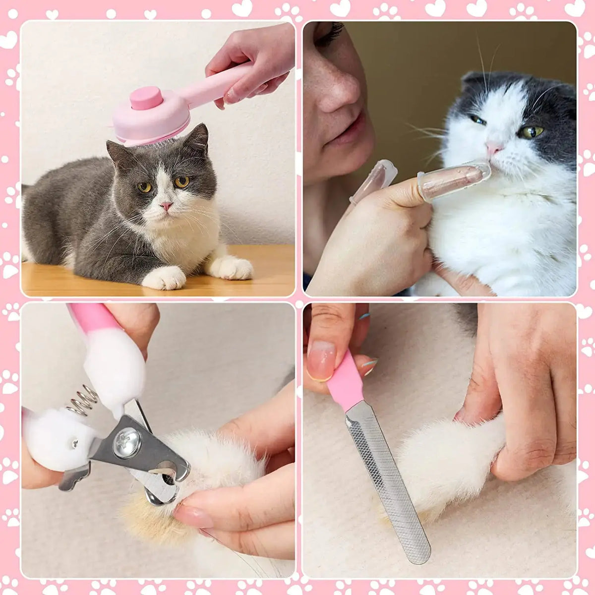 Pet Hair Brush Rieworkes