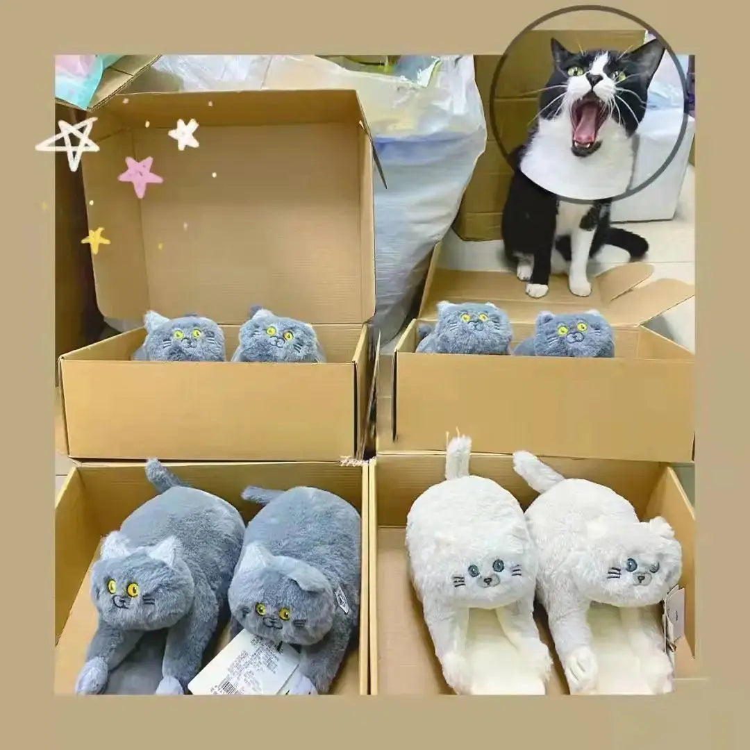 Cuddly Hug Cat Slippers Rieworkes