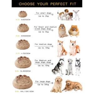 Pet Dog Sofa Beds Rieworkes