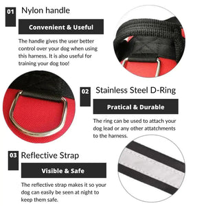 Safety Dog Harness Rieworkes