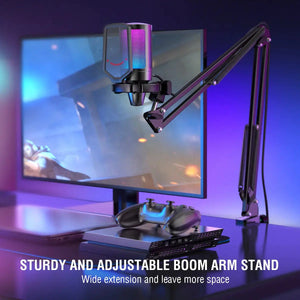 Gaming Microphone Kit Rieworkes