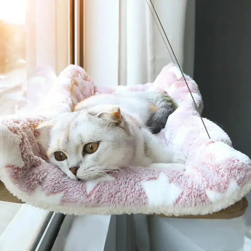 Suction Cup Hanging Cat Hammock Rieworkes
