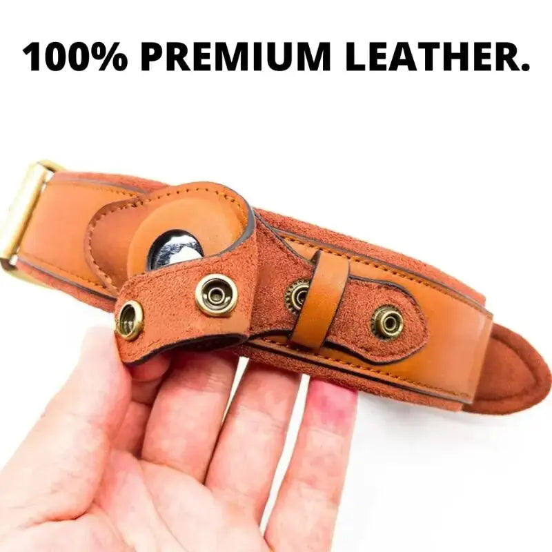 Leather Anti-Lost Dog Collar Rieworkes
