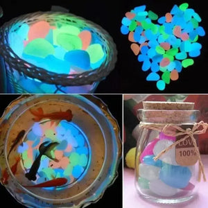Glow in the Dark Garden Pebbles Rieworkes