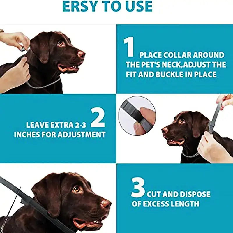 Anti-Flea Pet Necklace Rieworkes