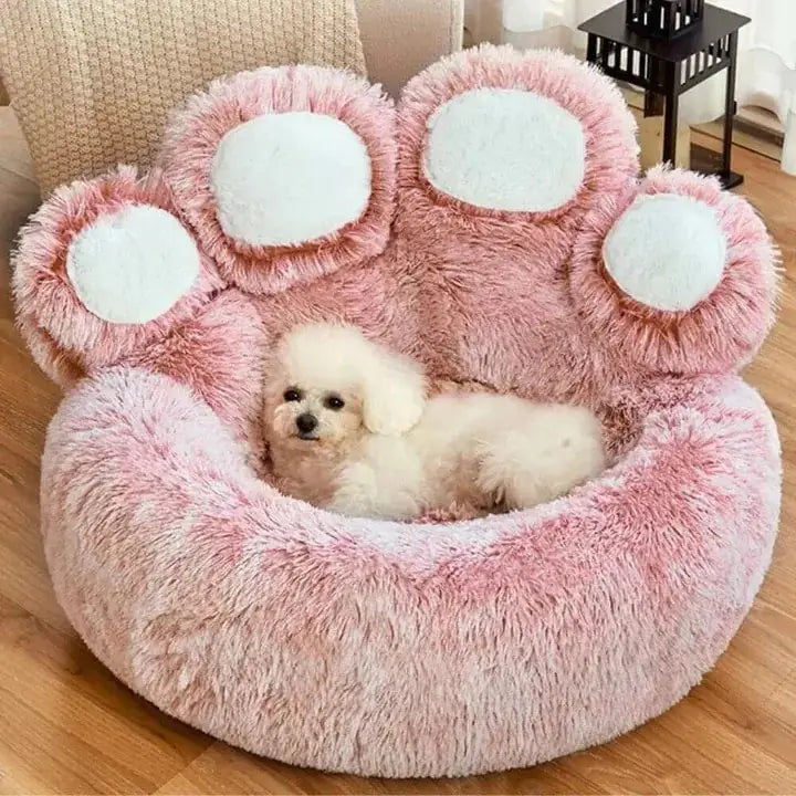 Pet Bear Paw Shape House Bed Rieworkes